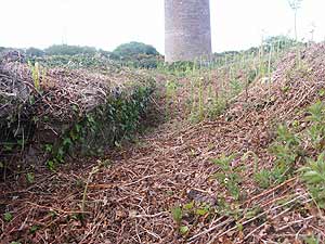 A flue leading out to a large chimney, the one remaining from the National Explosives Company's operations