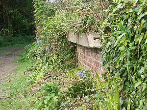Part of the railway platform which served the National Explosives Company, Upton Towans