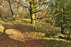small spoil heap site 'A'