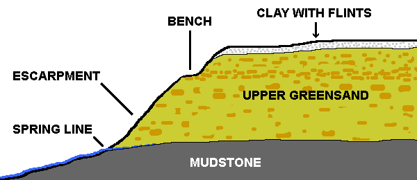 Diagram of the geology of the upper greensand formation