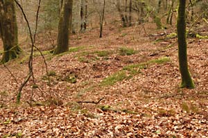 remains of an adit entrance