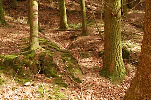 possible entrance of one of Rookley's mines