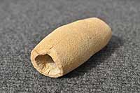 tubular fossil