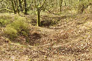 An area of sunken ground caused by a mine collapse