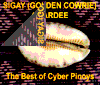 A Sigay Golden Cowrie Awardee