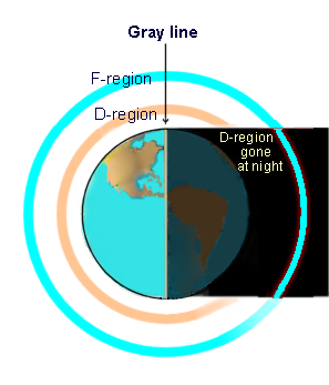 Greyline illustration