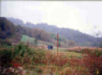 beverage-ne.jpg (82628 bytes)