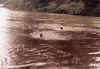 River Sia2.JPG (35964 bytes)