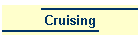 Cruising