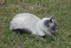 Tobi - June 21, 2005