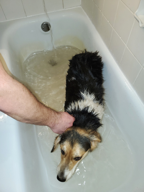 Bath-time!
