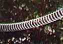 SLINKY DIPOLE