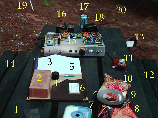 Field Day Picnic Table Quiz