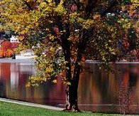 Beautiful Lake Junaluska, NC
