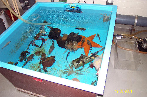 Aquarium Visit Aquarium Visit