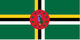 flag_DM