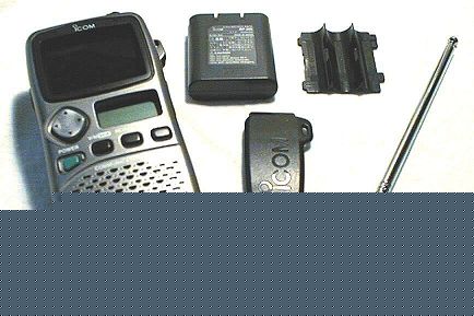 ic-r3ss2.jpg (24653 bytes)