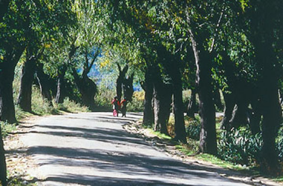 Approach Road to Paro Dzong Bridge