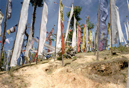 Prayer Flags on a hill in Thimpu