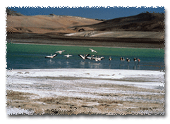 Laguna Santa Rosa