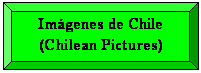 Bisel: Imgenes de Chile
(Chilean Pictures)
