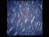 Clipperton from STS-62
