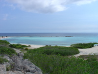 Aruba Cookie Beach