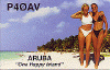 p40av.gif (34914 bytes)