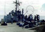 muelle-mini.jpg