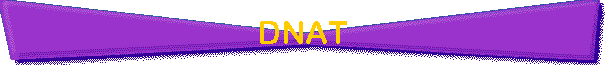 DNAT