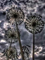 Zum Vergrößern bitte anklicken