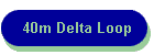 40m Delta Loop