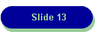 Slide 13