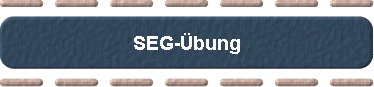  SEG-bung 