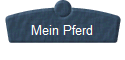  Mein Pferd 