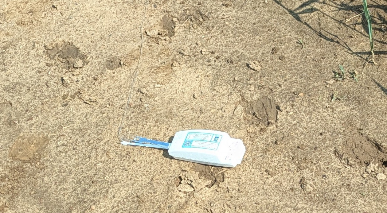 Wetterballon Sonde