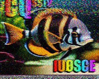 DC9DD image#15