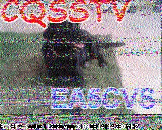 DC9DD image#15
