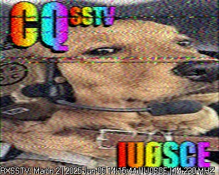 DC9DD image#15