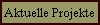 Aktuelle Projekte