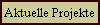 Aktuelle Projekte