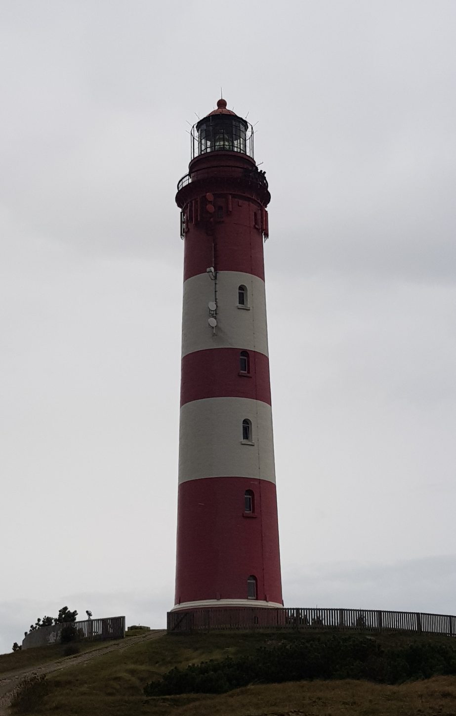 amrumleucht