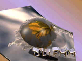 3D SSTV image 'Leaf in winter' / SSTV image 'spiderWeb'