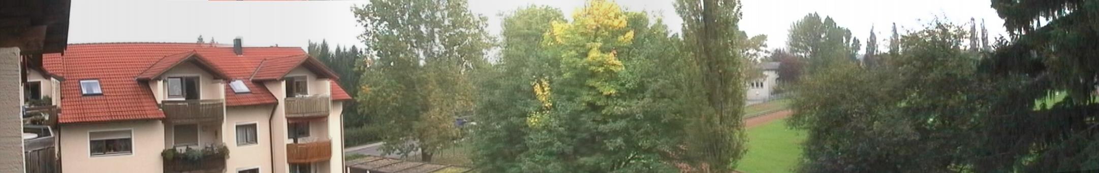 view from the living-room