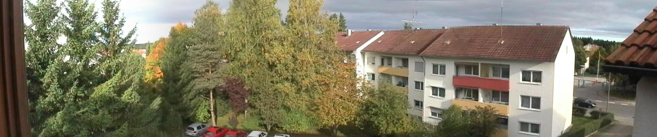 view from the bath-room