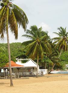 Martinique beach