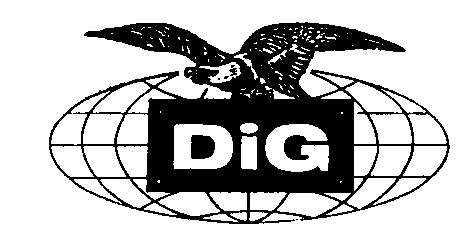 DIG Logo