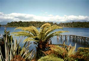 Lake BRUNNER , WESTLAND, SOUTH ISLAND