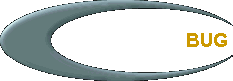  BUG 