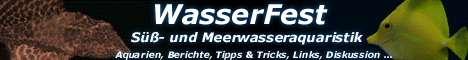 Banner-Wasserfest